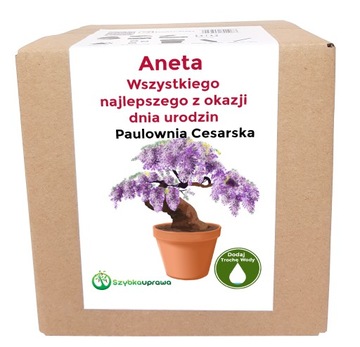 Zestaw do uprawy paulownia urodziny Anety Aneta
