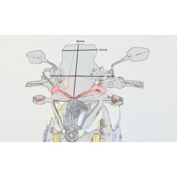 LOSTER голое стекло HONDA CB 1000 R 08-15