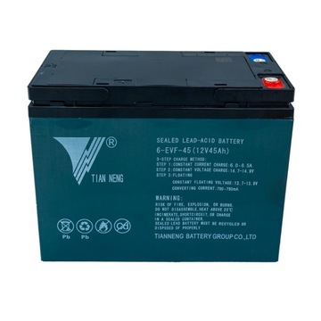 Bateria akumulator żelowy 12V45Ah skuter elektry zabudowany MICRO CAR FROST