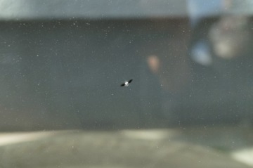 ВЕТРОВОЕ СТЕКЛО ПЕРЕДНЕЕ CHRYSLER SEBRING II 2