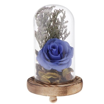 Szklany wyświetlacz Cloche Flower Immortal Blue