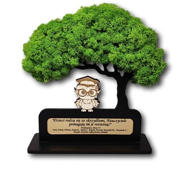 Drzewo bonsai mech 3D stojące zakończenie roku pani sowa dow grawer lustro