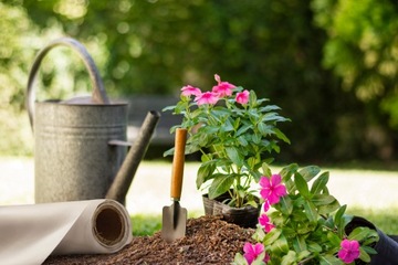 Нетканый материал Агро, белый, зимний чехол, 1,6х50м, 30г