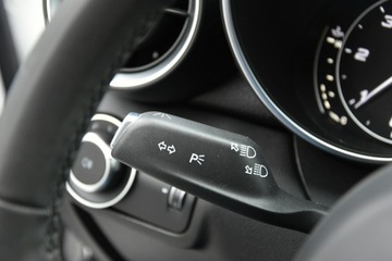 Alfa Romeo Giulia II 2018 Alfa Romeo Giulia 2.2d Manual 2018r. jak NOWA 31tk, zdjęcie 30