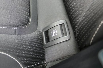 Renault Megane IV Hatchback 5d 1.3 TCe 115 FAP 115KM 2019 Renault Megane F-Vat,SalonPL Gwarancja,Tempomat, zdjęcie 17