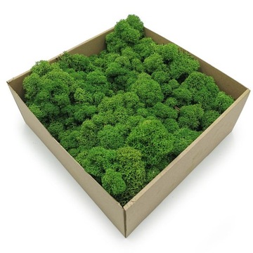 Финский крабовый мох Forest Green 50г НЕТТО