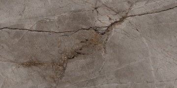 PŁYTKI PODŁOGOWE ŚCIENNE GRES ROOT ASH 60x120 MARMARA