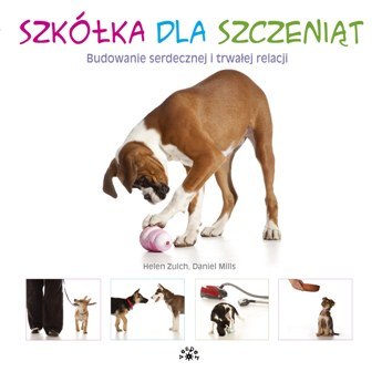 Szkółka dla szczeniąt budowanie serdecznej i trwałej relacji