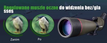 Svbony SV13 Lunety obserwacyjne 20-60X80mm z Adapterem do Telefonu, FMC