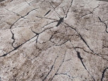 DYWAN MIAMI 160X220 PIEŃ DRZEWA 129 V BEŻ NOWOŚĆ!!