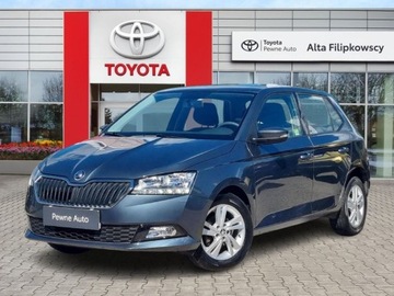 Skoda Fabia III Hatchback Facelifting 1.0 TSI 95KM 2019 Skoda Fabia Skoda Fabia 1.0 TSI Ambition Benzyna 95KM