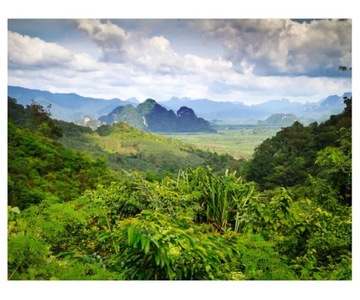 Fototapeta 368x280cm Tropikalny las deszczowy Khao
