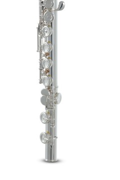 Поперечная флейта Roy Benson FL-602E