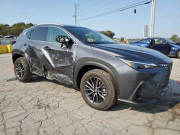 Lexus NX II 2024 Lexus NX 350H Base 2024 2.5l 2.5 Diesel 240KM, zdjęcie 4