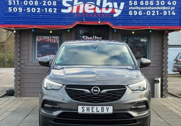 Opel 2020 Opel Grandland X 1.2 benz. 130KM klimatronik Led Navi Tempomat Stan Bdb OP, zdjęcie 2
