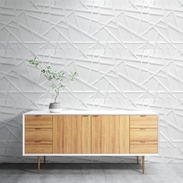 BIAŁE kasetony SUFITOWE panele ŚCIENNE 3D LINE NOWOCZESNE 1 szt.