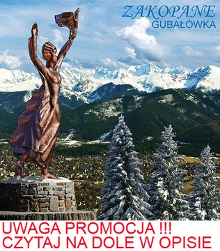 MAGNES NA LODÓWKĘ 3D ZAKOPANE GUBAŁÓWKA