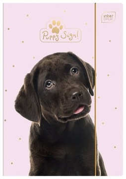 TECZKA RYSUNKOWA A4 Z GUMKĄ PIESEK PUPPY SIGN