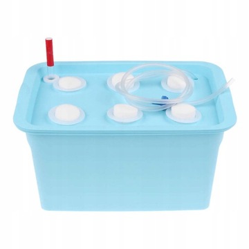 Набор для выращивания растений на 6 лунок