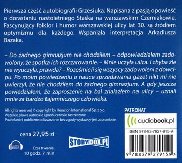 BOSO ALE W OSTROGACH - STANISŁAW GRZESIUK (AUDIOBOOK)