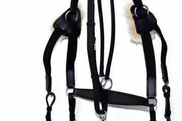 ПЯТИТОЧЕЧНАЯ ПОЛНОМЕРНАЯ НАГРАДА С МИНГЛИНГОМ