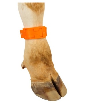 Лента пластиковая для крупного рогатого скота, цвета