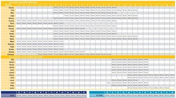 Сапоги Befado Wellington из ЭВА на подкладке со вставкой 31 размера.