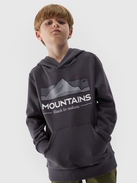 Толстовка для толстовки 4F.