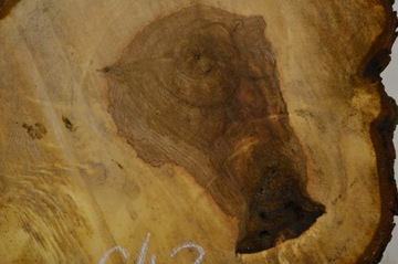 Plaster Drewna Kasztan 62x48 cm Gr. 6 cm