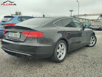 Audi A5 8T Coupe 2.0 TDI 170KM 2010 Audi A5 Sportback Zarejestrowany, LED, Xenon, Aktualne OC i BT, Mozliwa za, zdjęcie 2