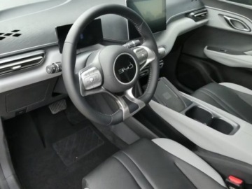BYD Sealion 7 2025 BYD Dolphin Surf Comfort Hatchback (156 KM) 2025, zdjęcie 5