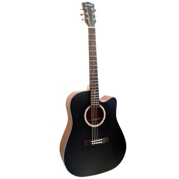 Gitara akustyczna RIVERWEST G-413