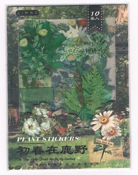 ZESTAW NAKLEJEK SCRAPBOOKING 10 ARK GAŁĄZKI LISTKI