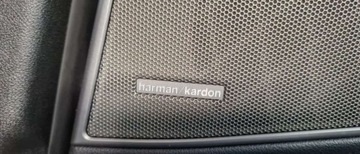 BMW Seria 3 G20-G21 Limuzyna 2.0 320d 190KM 2019 BMW Seria 3 320XD VAT23 Salon PL LED ACC Kamera 2.0 Diesel 190KM, zdjęcie 10