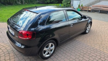 Audi A3 8P Hatchback 3d 1.6 TDI 90KM 2011 AUDI A3 1.6 TDI AMBITION 2011 KLIMATRONIK ALU SUPER STAN! FAKTURA MARŻA!, zdjęcie 16