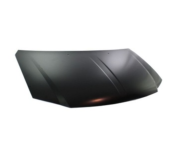 KAPOTA DODGE GRAND CARAVAN 09.07- 4894793AD