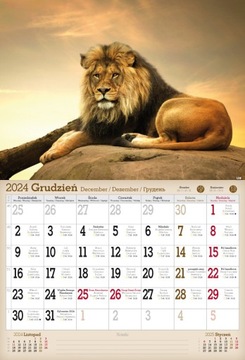 Настенный календарь А3 на 2024 год. Дикие животные.
