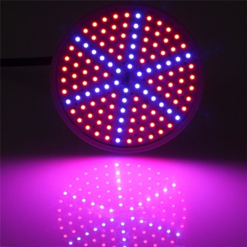 Светодиодная лампа для выращивания растений