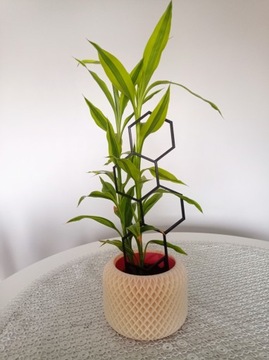 ОПОРА ЛЕСТНИЦА ПЕРГОЛА ЦВЕТОЧНОЕ РАСТЕНИЕ ШЕСТИГРАННИК