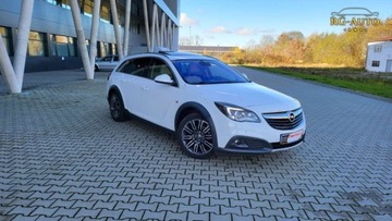 Opel Insignia I Country Tourer 1.6 CDTI Ecotec 136KM 2015 Opel Insignia 1.6CDTI CountryT Oryginal 198Tkm..., zdjęcie 2