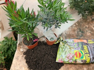 ПОЧВА ДЛЯ СУККУЛЕНТОВ АЛОЭ ЗАМИОКУЛКАСА и других экзотических растений 20л