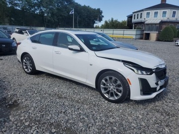 Cadillac 2023 Cadillac CT5 Luxury 2023 2.0l 2.0 Benzyna 237KM, zdjęcie 4