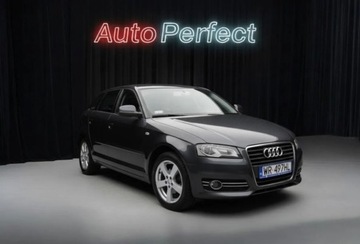 Audi A3 8P Hatchback 3d 1.6 102KM 2008