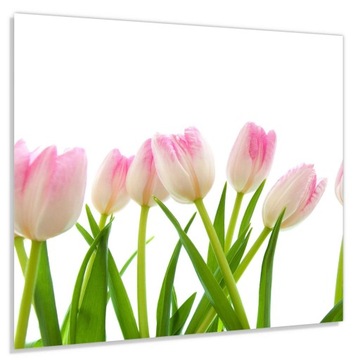 Szkło hart 60x50 Jasnoróżowe tulipany + KLEJ