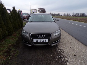 Audi A3 8P Hatchback 3d 1.6 TDI 105KM 2011 AUDI A3 1.6 TDI Z NIEMIEC ZAMIANA