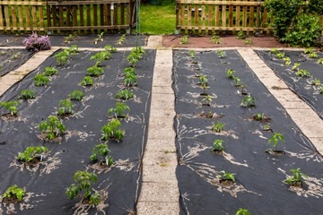 АНКЕРНЫЕ ШПИЛЬКИ ПЛАСТИКОВЫЕ ШПИЛЬКИ ДЛЯ КРОМОК 50 шт. 20 см. Универсальные