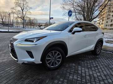 Lexus LS V 2017 LEXUS NX 300t Prestige 2,0 benzyna 238KM * Przebieg:96, 846 * Dokumentacja, zdjęcie 2