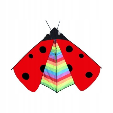 Большой однолинейный кайт Delta Kite