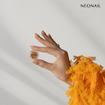 NEONAIL Украшение ногтей - сухоцветы 03 Оранжевый