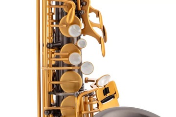 ДРАКО ЭНЕС — альт-саксофон (BBGB)